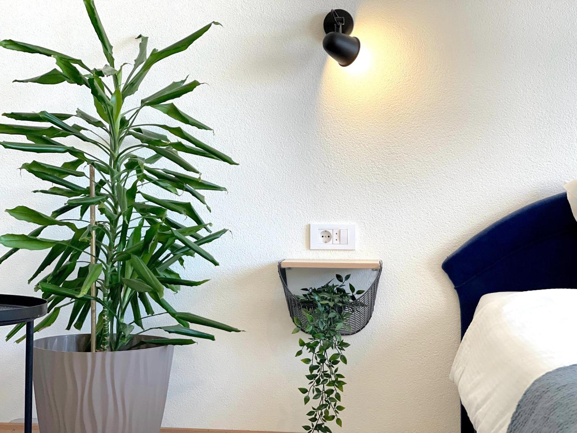 Makedonka Apartments Охрид Екстериор снимка